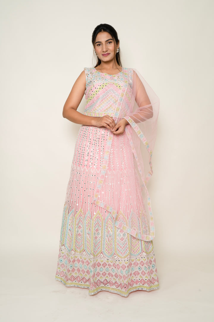 Pink Net Multicolor Lehenga