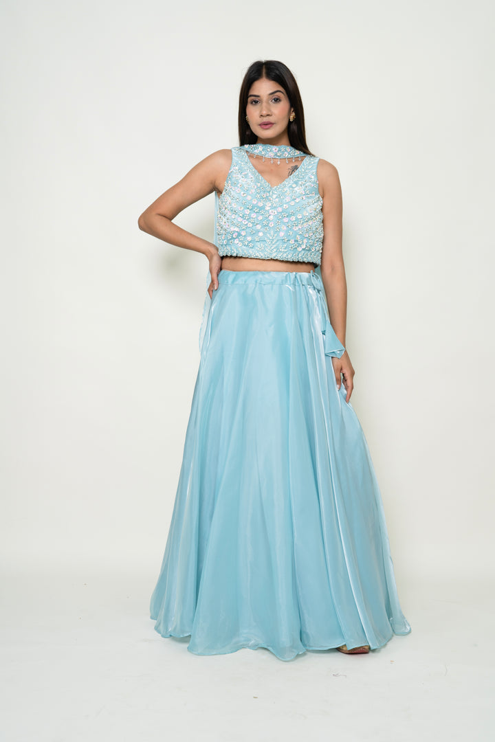 Sky Blue Net Lehenga