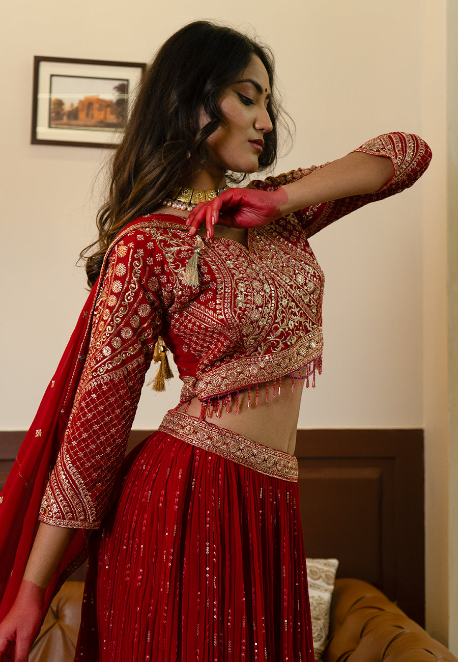 Red zari embroidery lehenga