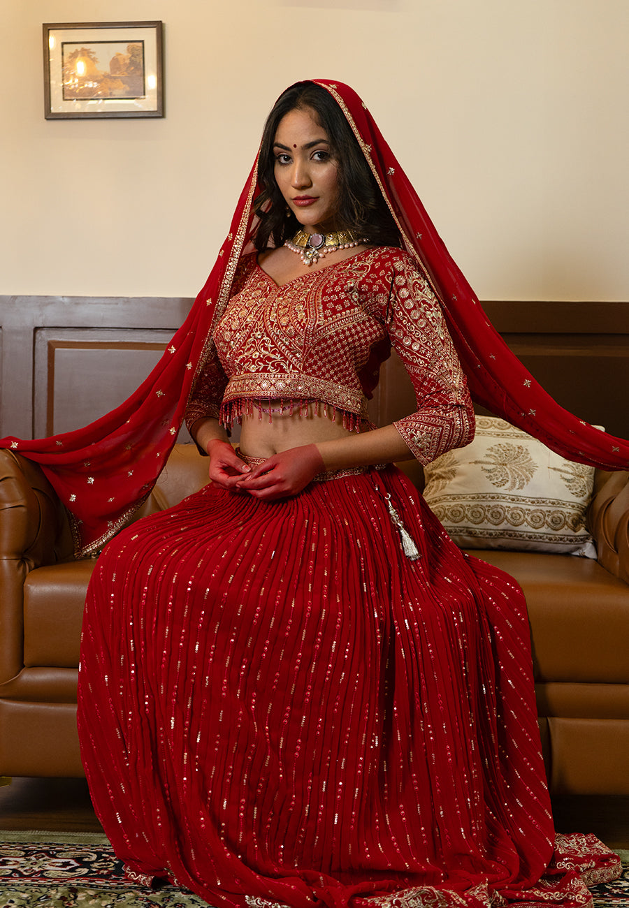 Red zari embroidery lehenga